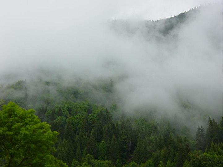 1 mist a.JPG